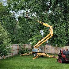 Best Hazardous Tree Removal  in Chesapeake, OH