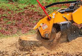 Best Arborist Consultation Services  in Chesapeake, OH