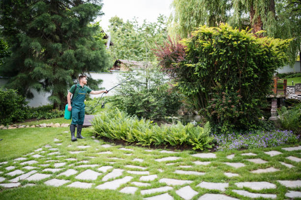 Best Tree Preservation Services  in Chesapeake, OH