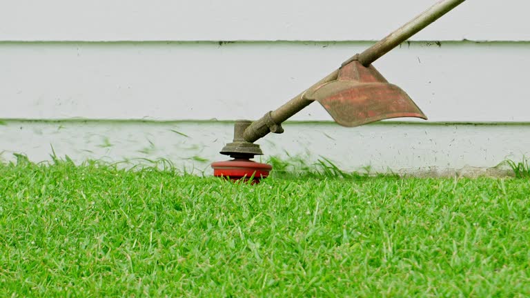 Best Lawn Renovation and Restoration  in Chesapeake, OH
