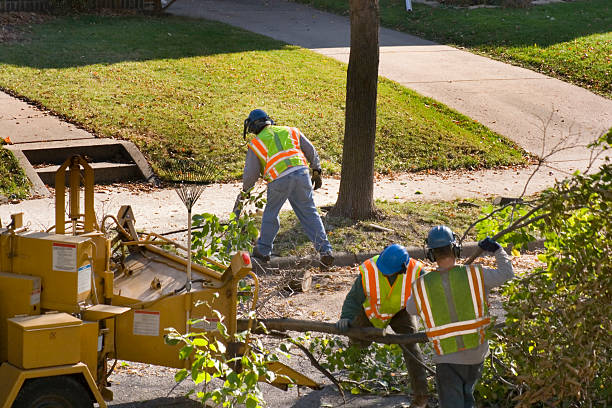 Seasonal Cleanup (Spring/Fall) in Chesapeake, OH