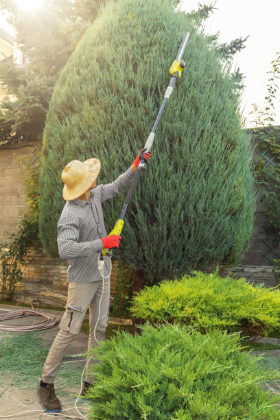 Best Lawn Irrigation Installation and Maintenance  in Chesapeake, OH